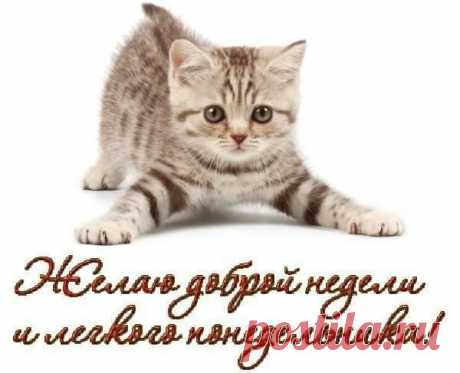 удачной недели картинки: 33 тыс изображений найдено в Яндекс.Картинках