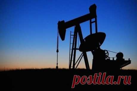 РФ подтвердила планы по снижению объемов экспорта нефти в августе. Решение будет действовать на фоне ранее объявленного сокращения нефтедобычи.