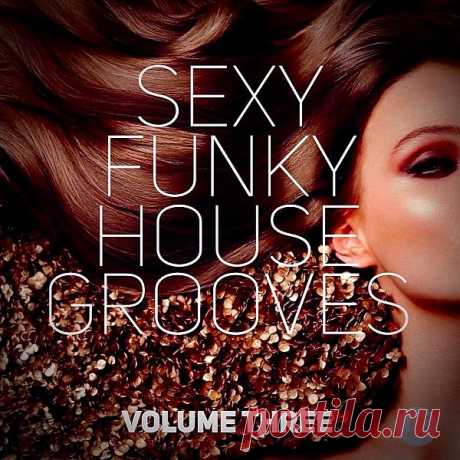 Sexy Funky House Grooves Volume Three (2023) Mp3 Исполнитель: Various ArtistНазвание: Sexy Funky House Grooves Volume ThreeДата релиза: 2023Жанр: House, Funky-House, Nu-Disco, ElectronicКоличество композиций: 47Формат | Качество: MP3 | 320 kpbsПродолжительность: 03:54:42Размер: 554 MB (+3%) TrackList:01. Cheesecake Boys & Crazibiza - Funky