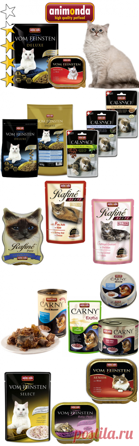 Корм для кошек Анимонда (Animonda): обзор, виды, состав, отзывы