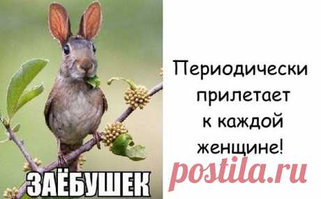Ирина Горкунова