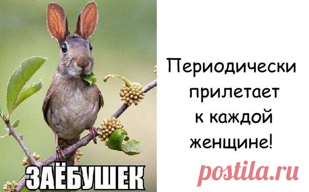 Ирина Горкунова