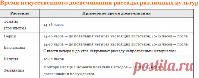 Выращивание рассады: сроки, досвечивание, оптимальная температура - Дачные советы.ру