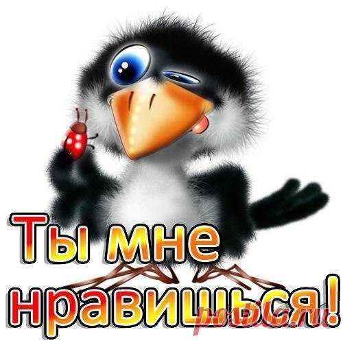 Улыбнись! - "Я и ты Водолей - вместе будет веселей." - Группы Мой Мир
