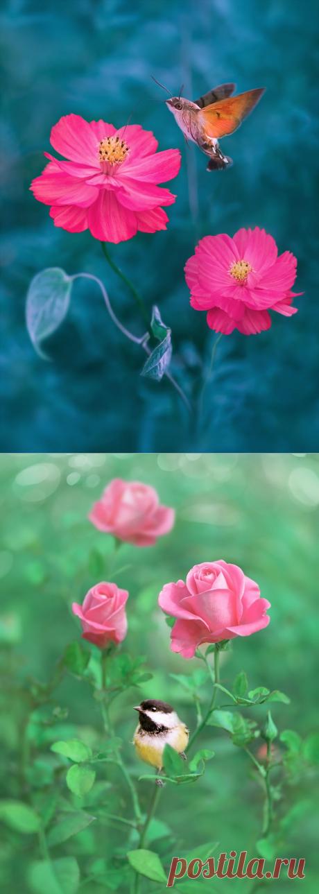 Умейте видеть красоту...ведь счастье, оно рядом, в двух шагах...| Крылова Татьяна