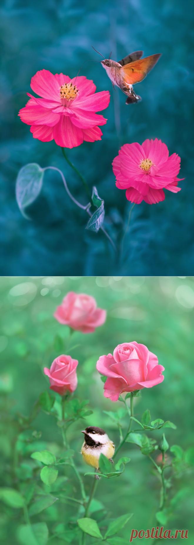 Умейте видеть красоту...ведь счастье, оно рядом, в двух шагах...| Крылова Татьяна