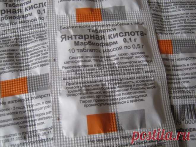 Самый лучший стимулятор роста для цветов Продавец в цветочном магазине однажды уговорил меня купить янтарную кислоту: мол, это средство удивительно стимулирует рост растений и переборщить с ним невозможно.Дома я развела 1 г. порошка на 5 л...