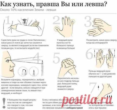 Правша или левша - Полезное каждый день!