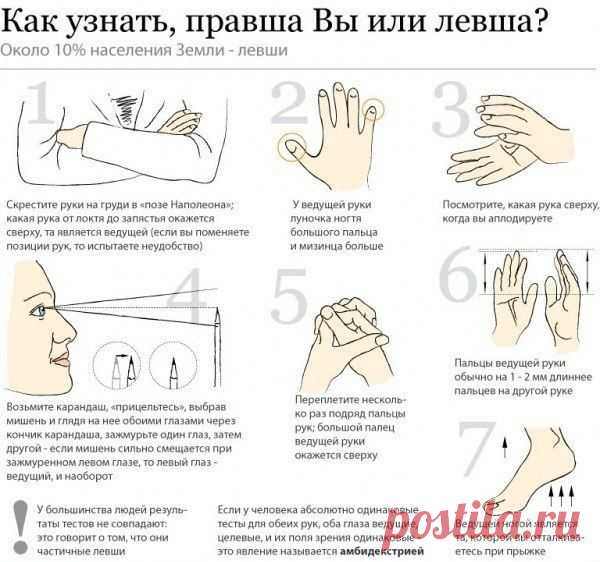 Правша или левша - Полезное каждый день!