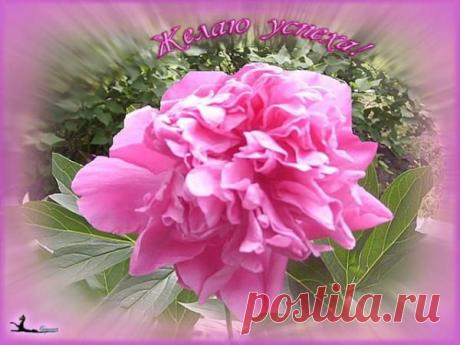 44835.jpg (600×450)