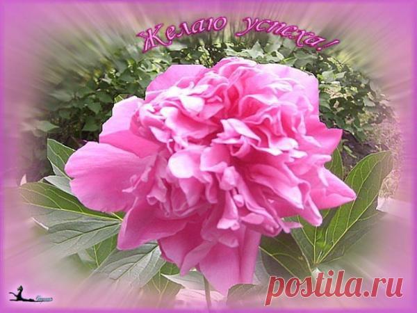 44835.jpg (600×450)