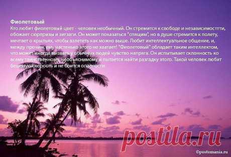 фиолетовый цвет