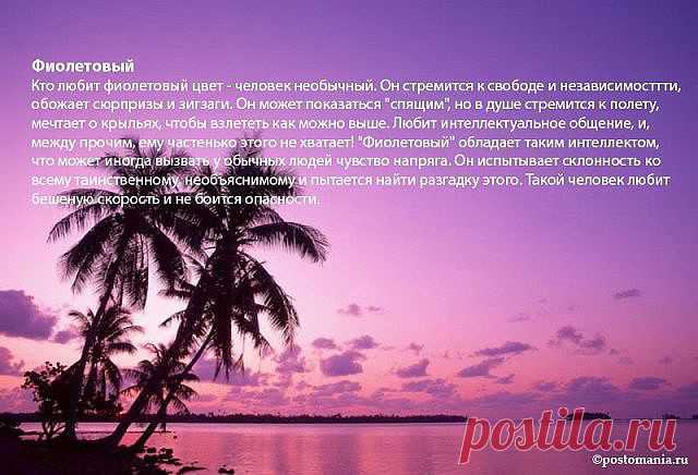 фиолетовый цвет