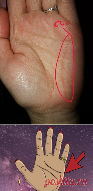 Редкая линия на руке, которая есть только у духовно просветленного человека. Она дарует тайные знания и магическую силу | Alice Journal | Яндекс Дзен