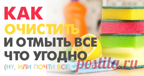 Теперь мне пятна не страшны!