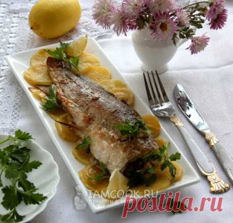 Щука с картофелем в фольге в духовке — рецепт с фото пошагово. Как запечь щуку с картошкой в фольге в духовке?
