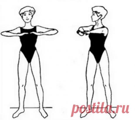 3 простых, но эффективных упражнения из японской гимнастики для изящной талии в любом возрасте | Wefit.ru | Яндекс Дзен