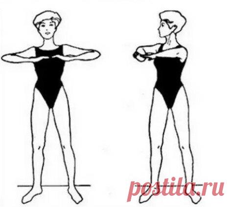 3 простых, но эффективных упражнения из японской гимнастики для изящной талии в любом возрасте | Wefit.ru | Яндекс Дзен