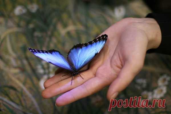 Оказывая осознанно благодеяние, не жди благодарности...