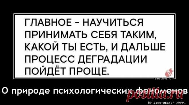 Выпуск №6672 - выпуск анекдотов сайта вокруг смеха