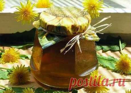 Удивительное одуванчиковое масло » Кумушка.com