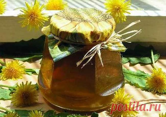 Удивительное одуванчиковое масло » Кумушка.com