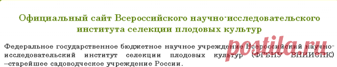 Всероссийский научно-исследовательский институт селекции плодовых культур