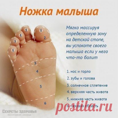 (52) Одноклассники