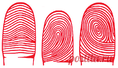 Штрих-код судьбы