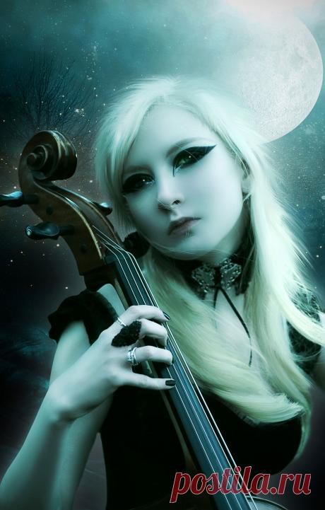 Музыка в ночи