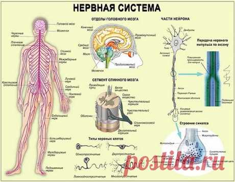 (92) Одноклассники