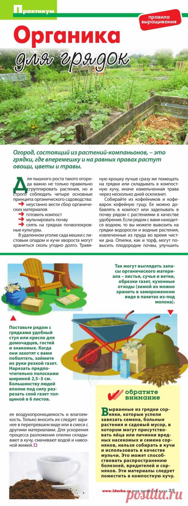 Органика для грядок