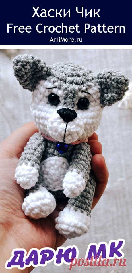 PDF Хаски Чик крючком. FREE crochet pattern; Аmigurumi animal patterns. Амигуруми схемы и описания на русском. Вязаные игрушки и поделки своими руками #amimore - собака породы Хаски, пёс, маленькая собачка, щенок, пёсик.