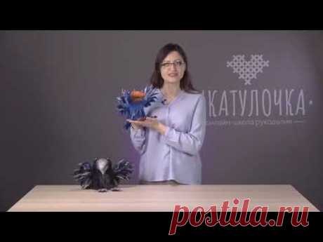 Анонс курса &quot;Ворона Варвара&quot;