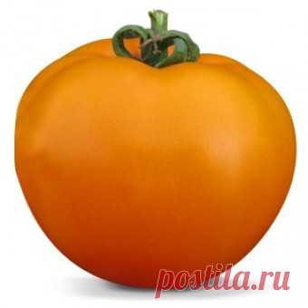 Томаты Детерминантные, ранние томаты