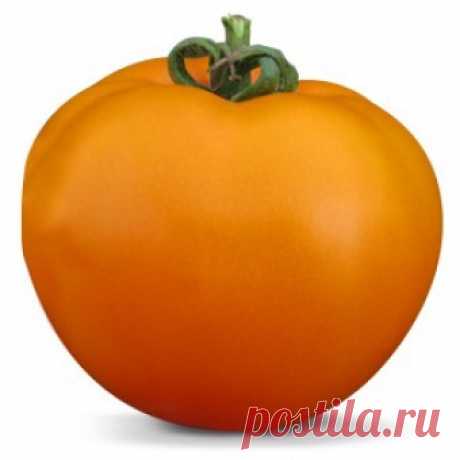 Томаты Детерминантные, ранние томаты