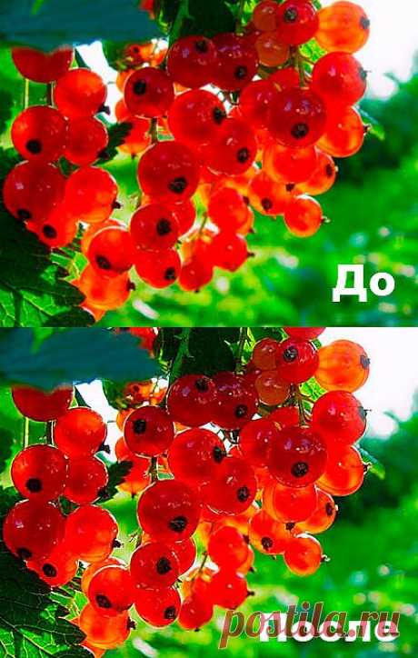 Скачать Экшен - Для повышения резкости
