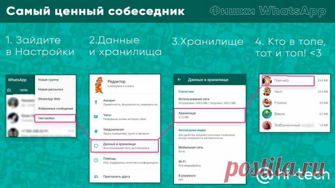 WhatsApp становится соцсетью. Что это - Hi-Tech Mail.ru