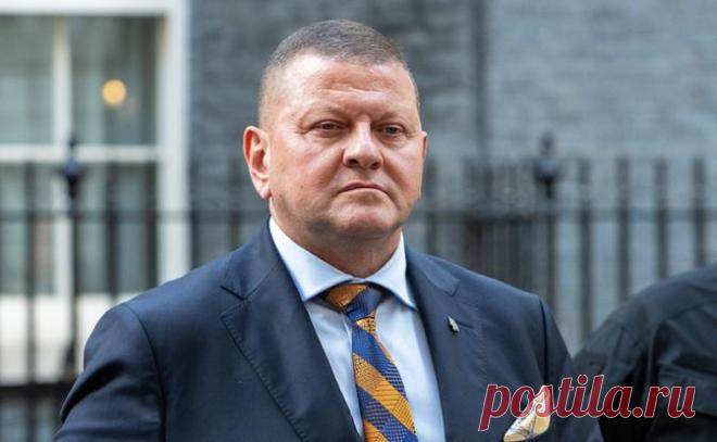 30-11-25--Нашелся герой, готов ПОДПИСАТЬ КАПИТУЛЯЦИЮ ВМЕСТО ЗЕЛЕНСКОГО - Ставленник МИ6 ЗАЛУЖНЫЙ наговорил достаточно для своего ФИЗИЧЕСКОГО УСТРАНЕНИЯ