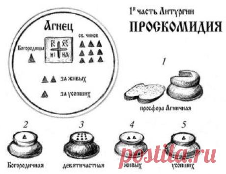 ПРОСКОМИДИЯ, ЧТО МЫ ЗНАЕМ О НЕЙ?

Забирай на стену, чтобы потом дома внимательно изучить!

Еще до того, как началась служба, в алтаре совершается проскомидия. Проскомидия – это такое чинопоследование, во время которого из просфор, из таких круглых, состоящих из двух половинок хлебцев, вынимаются частицы.

Мы молимся: «Господи, помяни рабов Твоих...» И перечисляем имена. И все записки, которые вы давали накануне вечером, в предыдущий день или утром, все эти записки берутся ...