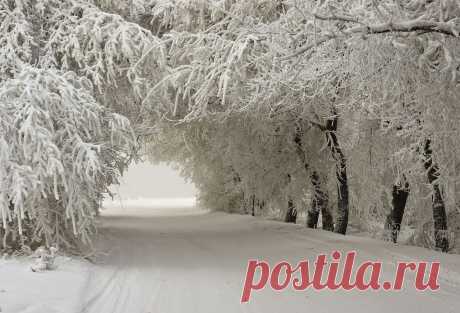 ИгорьК — «Арка» на Яндекс.Фотках