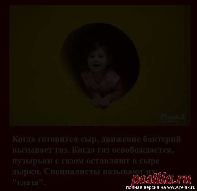 сайты о сырах.: 132 тыс изображений найдено в Яндекс.Картинках