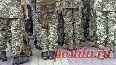 У Малой Локни в Курской области взяли в плен группу военных ВСУ. У села Малая Локня в Курской области российские военные захватили в плен группу солдат 82-й отдельной десантно-штурмовой бригады ВСУ. Читать далее