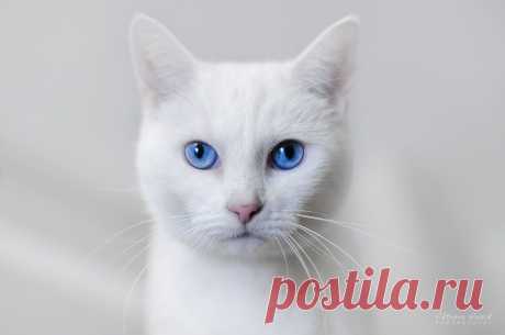 Мой Мир@Mail.Ru