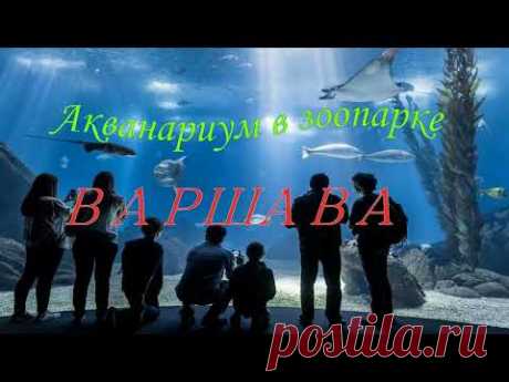 Акванариум зоопарка Варшавы!
