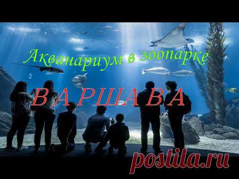 Акванариум зоопарка Варшавы!