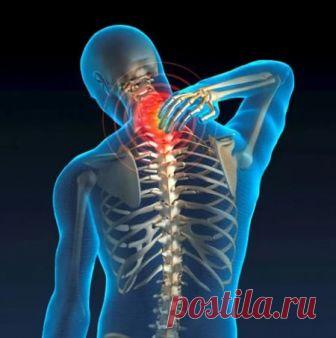 Женский берет. Аксессуары, которые не выйдут из моды - МирТесен