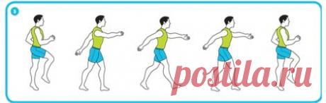 Как поддержать форму за 11 минут: программа пилотов канадских ВВС - Лайфхакер