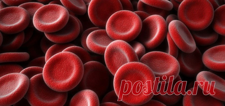 МЕГА ШПАРГАЛКА ПРО КЛЕТКИ КРОВИ Сохраните для себя и поделитесь с друзьями, чтобы не потерять!