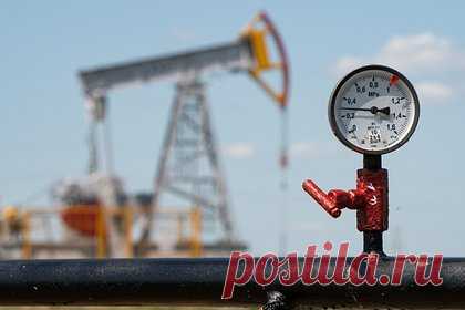 Влияние санкций Трампа против России на цены на нефть оценили